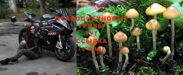 кокаин перу Козловка